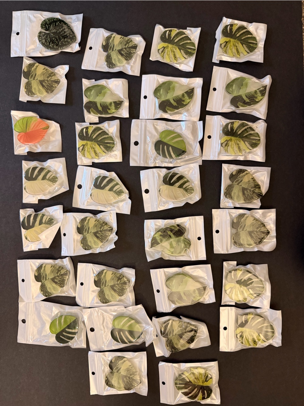 30 Phone Grips Plant Leafs